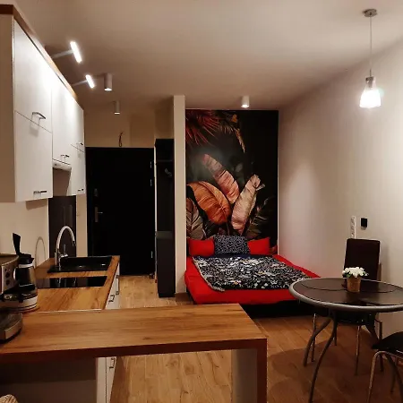 Pod Szyndzielnia, Debowiec Apartmán *