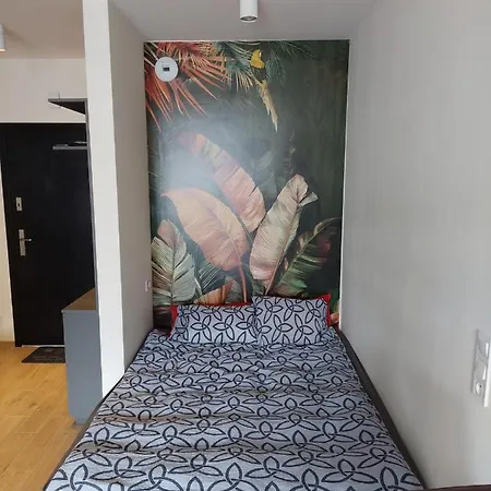 Pod Szyndzielnia, Debowiec Lejlighed