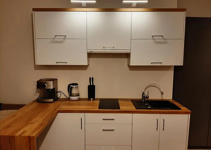 Pod Szyndzielnia, Debowiec Апартаменты