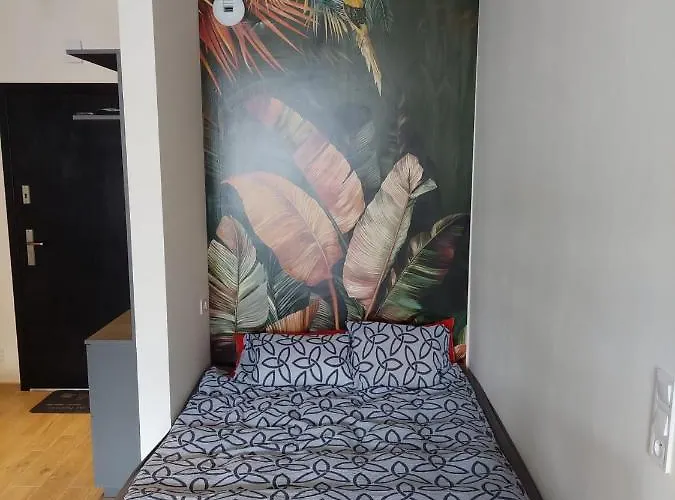 Pod Szyndzielnia, Debowiec Апартаменты